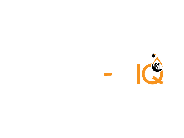 LettersIQ